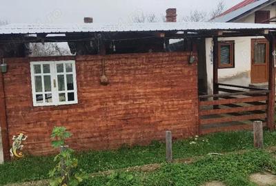 Casă cu 3 camere cu Teren 2900 Mp în Lunca - 2