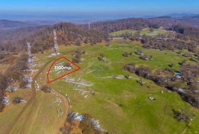 COMIISION 0% Teren cu vedere spectaculoasa 3.100 mp Vladeni - 3