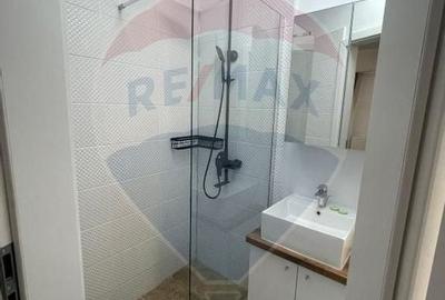 Apartament cu 2 camere de inchiriat in zona Plevnei - 4