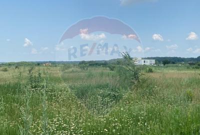 DE VANZARE Teren intravilan 600mp Drumul Piscul Mosului S... - 33