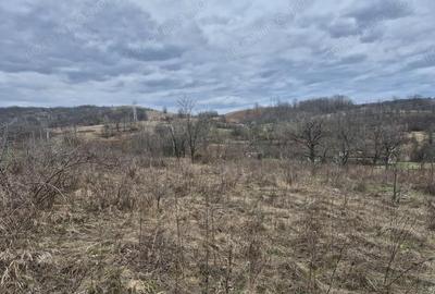 Teren de 5700 mp, în Iabalcea - 6