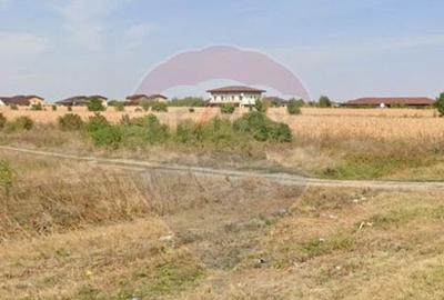 Teren Tartasesti langa complex Buna Ziua