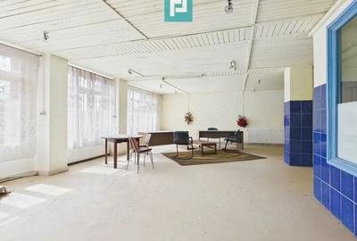 Proprietate multifunctionala central Arad - 19