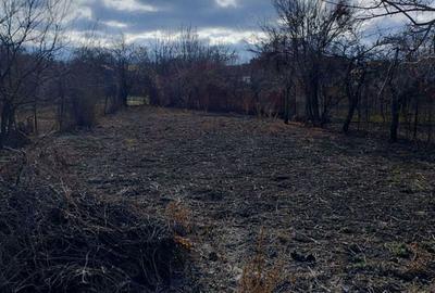 Casă cu 4 camere cu Teren 870 Mp în Bozovici - 1