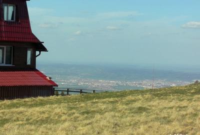 Teren de 10632 mp, în Paltin - 1