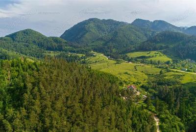 Casă cu 6 camere cu Teren 1428 Mp în Săcele - 3