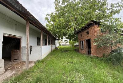 Casa de vanzare + teren 1816 mp in Coteana, Olt, central - 4