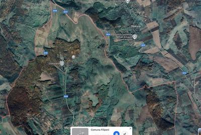 Teren Filipeni, Padure, ID: R2388724 - 13