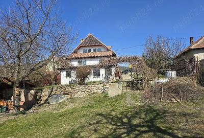 Casă cu Teren 1000 Mp în Dâmbul Rotund - 2