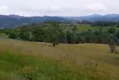 Spațiu comercial, în Central - 2