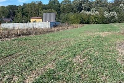 Loturi de vanzare 625 mp Domnesti, sat Teghes, langa Padure Loturi de vanzare 625 mp Domnesti, sat Teghes, langa Padure - 4