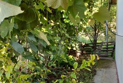 Casa renovabila, 2 camere, zona Cetate - 10