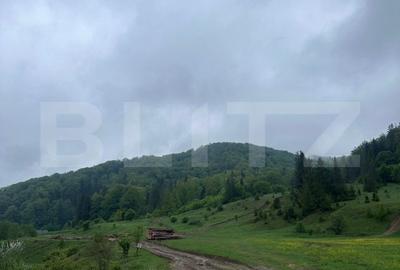 Teren intravilan 20.000 mp, zona Soarecului, Marginea Teren intravilan 20.000 mp, zona Soarecului, Marginea - 1