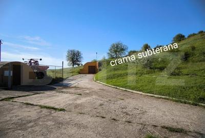 Oportunitate! Sala de evenimente, benzinarie si spalatorie auto, stradala la DE - 9