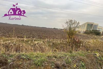 Teren pentru hale soseaua Nojorid Les - 3