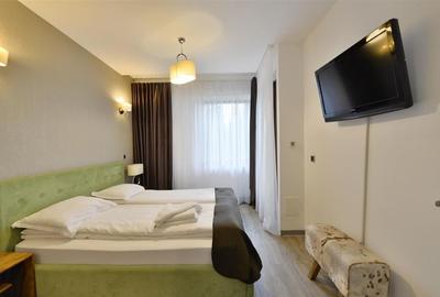 Apartament confortabil 3 cam Silver Mountain - 14