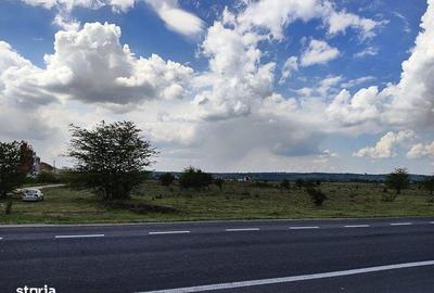 Teren de 39099 mp, în Șimian - 1