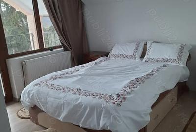 Vand Vila in Sta?iunea montana Ranca , jud Gorj - 7