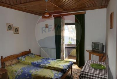 Casă individuală cu 9 camere cu Canalizare în Central - 8