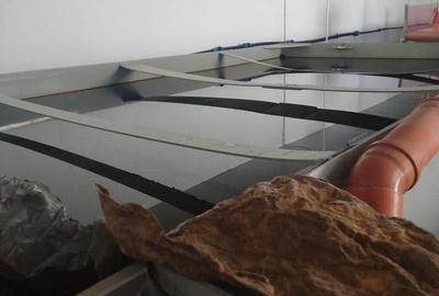 Casă cu Teren 4200 Mp în Central - 10