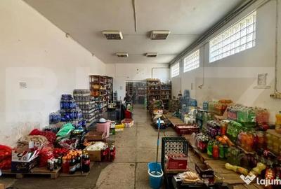 Spațiu comercial, de 264 mp, în Calea Severinului - 4