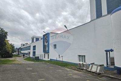 Spa?iu industrial de vanzare - 3
