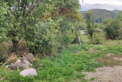 Teren de 3082 mp, în Damiș - 11