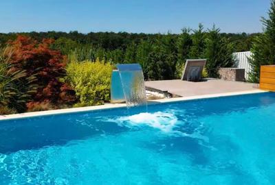 BRANESTI-VILA SUPERBISSIMA,LA LAC,PISCINA,FANTASTICA,UNICAT,700000 EURO - 2