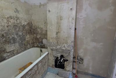 Titan, 5 minute metrou si parc IOR pe Barajul Lotru, bloc 1978, - 9