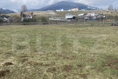 Teren intravilan de vanzare, 12.500 mp, zona Vatra Dornei, P - 2