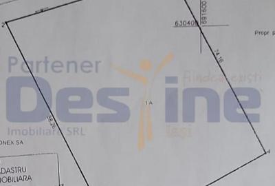 TEREN 5000 MP, MIROSLAVA-CENTRU - 2