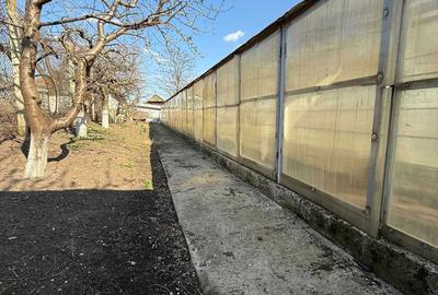 Spațiu comercial, în Belcești - 8