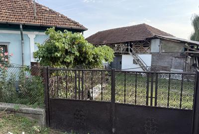 Casă cu 5 camere cu Teren 1754 Mp în Mălureni - 3