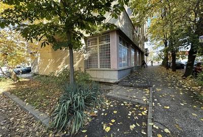 Spatiu comercial Calea Aradului Spatiu comercial Calea Aradului - 17