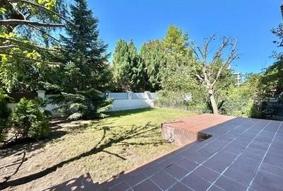 Villa, complex with swimming pool, Iancu Nicolae, Cambridge School - 24