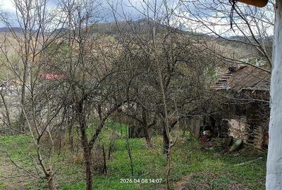 Casă cu 3 camere cu Teren 3600 Mp în Central - 5