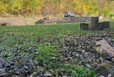 Proprietar. Vand teren. Paraul Runcu este limita de proprietate. Drum asfaltat - 7