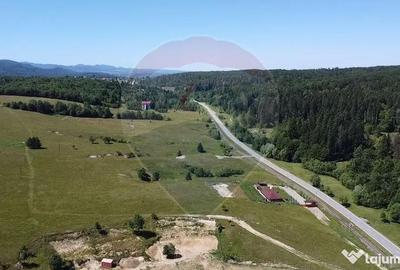 Teren de 5561 mp, în Paltin - 9