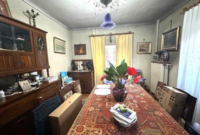 Vila cu arhitectura, individuala Parc Romniceanu - 4