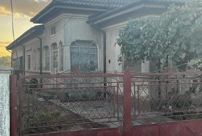 Casă cu Teren 1100 Mp în Alunișu - 9