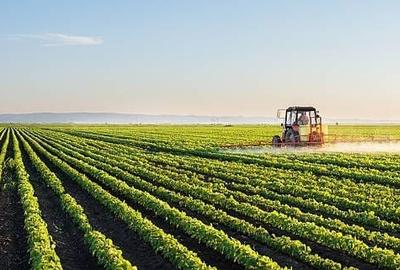 Teren agricol extravilan de 110 mp, în Stâlpu - 3