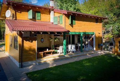 Casa de vacanta superba in Crivaia - 19