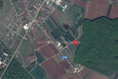 Teren de 620 mp, în Izvorani - 3