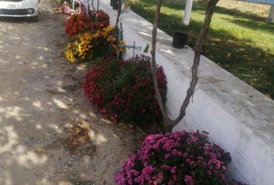 Casa la tara cu gradina - 2