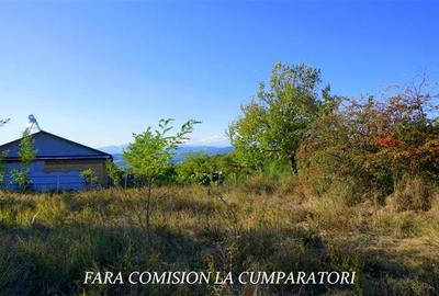 BUDESTI, TEREN 1000 MP, PRIVELISTE MINUNATA - 6