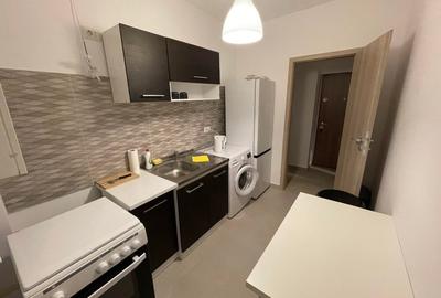 Apartament cu 2 camere decomandat, mobilat în Roșu - 4