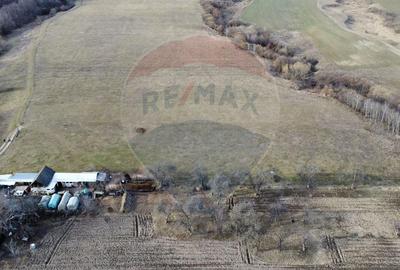 Teren agricol intravilan de 2592 mp, în Lipoveni - 15