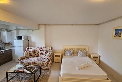 Garsoniera zona Otopeni (Aeroport) bloc NOU, Mobilata-Utilata MODERN - 4