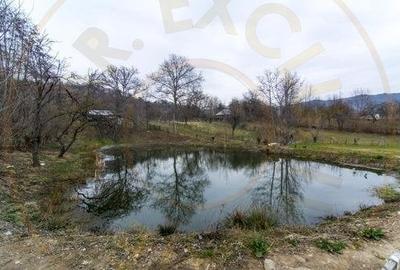 Casa de vacanta sau rezidentiala cu lac si ciubar Nucsoara-Arges - 20