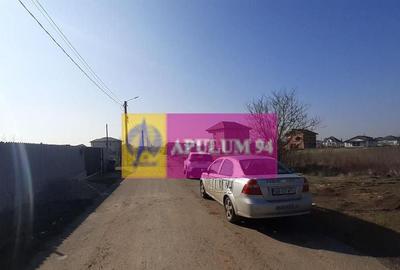 Teren de 3100 mp, în 1 Decembrie